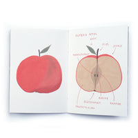 Tiny Projects - The Apple - Activity Booklet