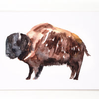Postcard Bison