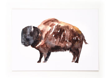 Postkarte Bison