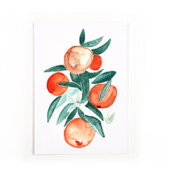 Postkarte Orangenblüten