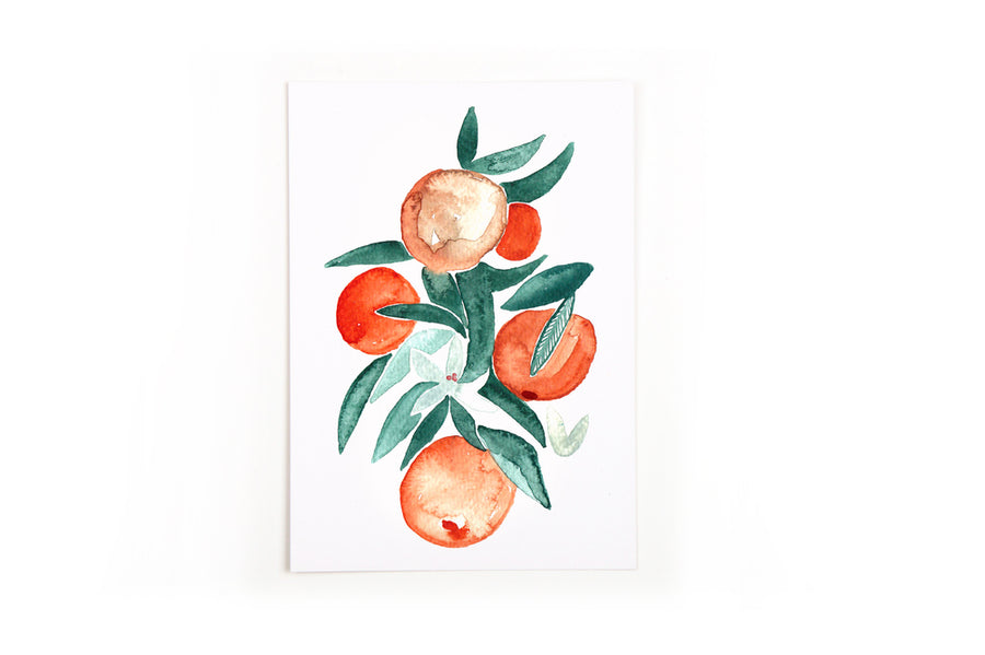 Postkarte Orangenblüten