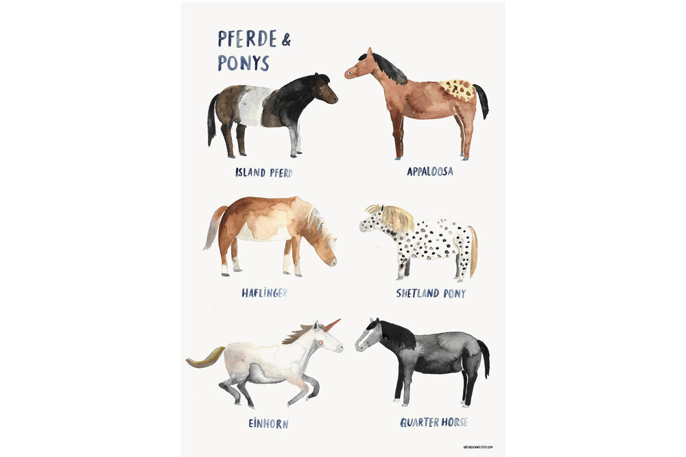 Poster Pferde & Ponys