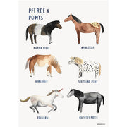 Poster Horses & Ponies
