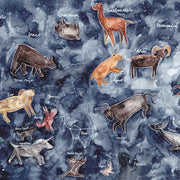 Poster Map of the Stars