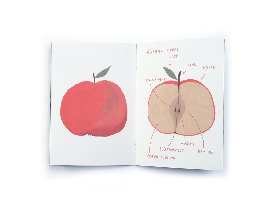 Tiny Projects - The Apple - Activity Booklet